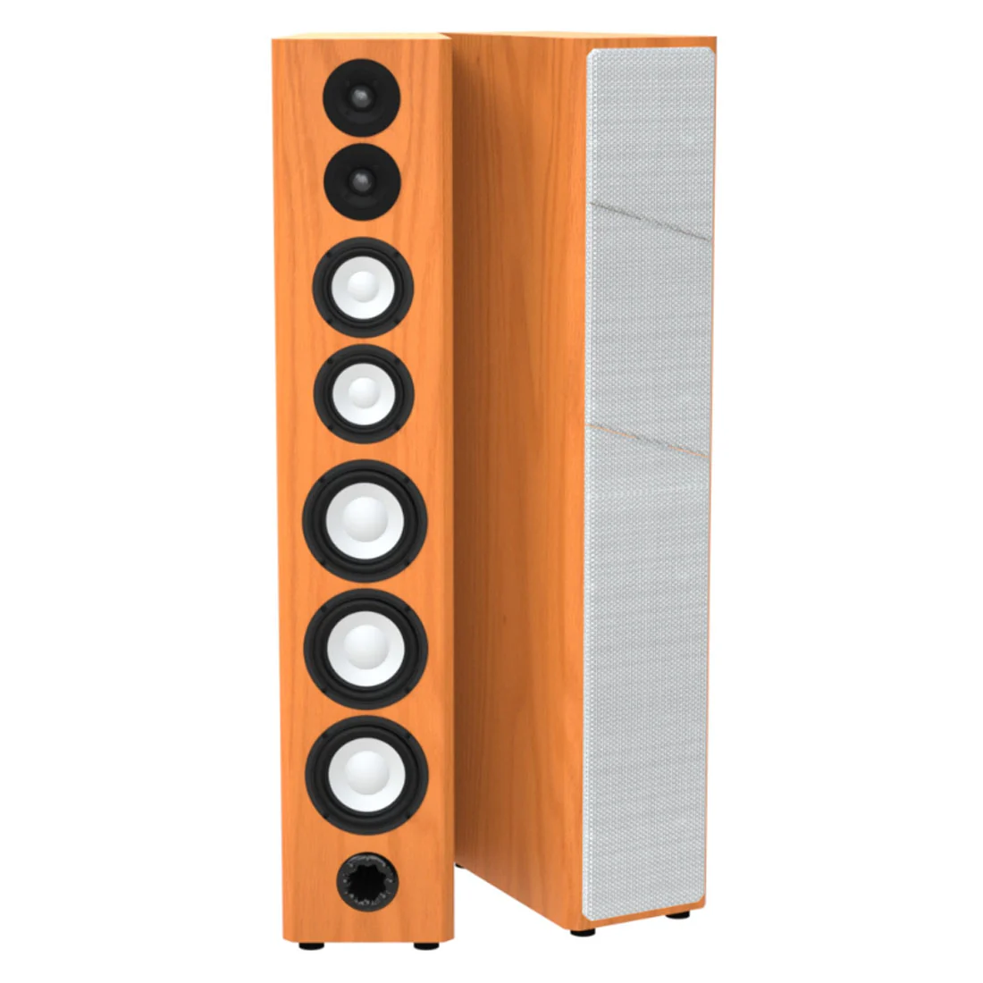 Axiom 36168 M100 Floor Standing Speakers - Pair (M100) - Image 7