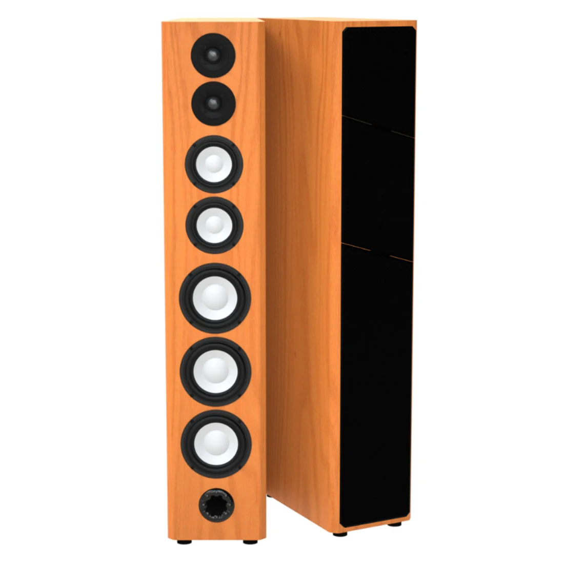 Axiom 36168 M100 Floor Standing Speakers - Pair (M100) - Image 8