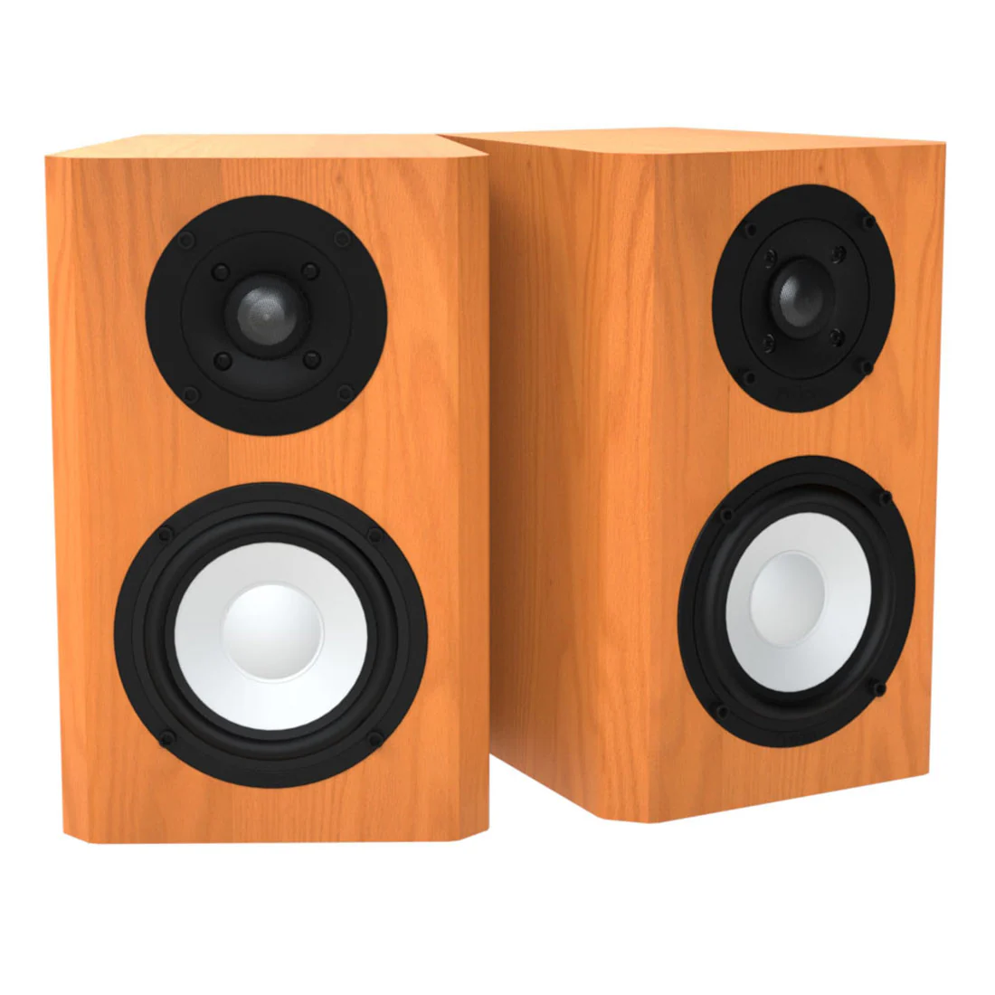 Axiom 10018 M2 Bookshelf Speakers - Pair (M2) - Image 4