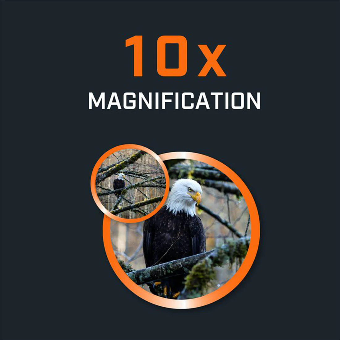 Bushnell 13-0105R H2O 10x25 Waterproof Binoculars (130105R) - Image 9