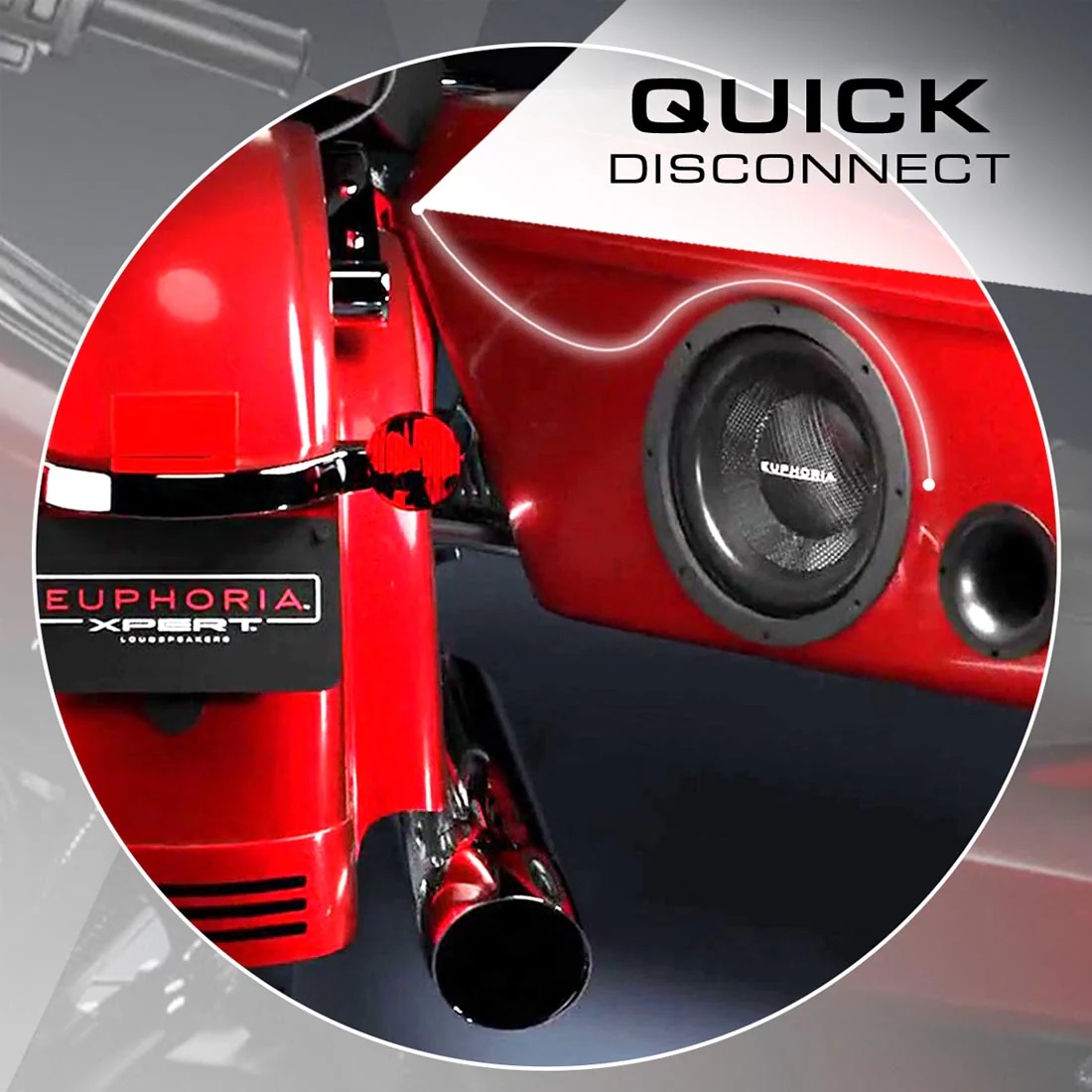 Euphoria DBLHDH1 Waterproof Quick Disconnect Saddlebag Speaker Harness - Image 2