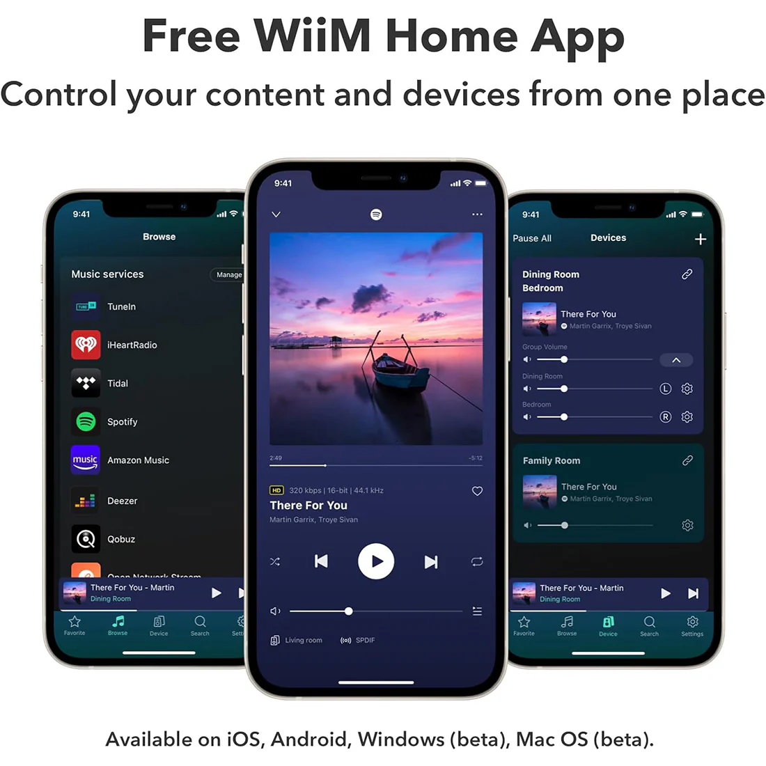 WiiM Amp: Multiroom Streaming - AirPlay 2, Chromecast, Voice Control - Image 4