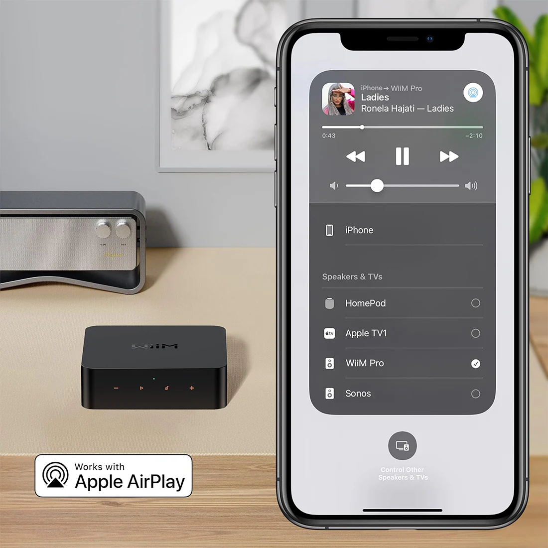 WiiM Pro Plus: Premium Multiroom Streamer with Voice Remote & Hi-Res Audio Support - Image 5