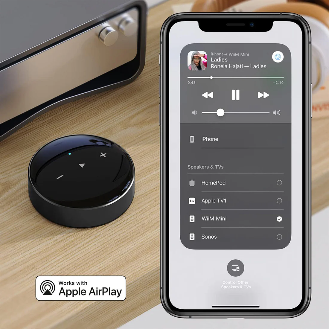 WiiM Mini: Wireless Audio Streamer with Voice Assistant Compatibility - Image 7