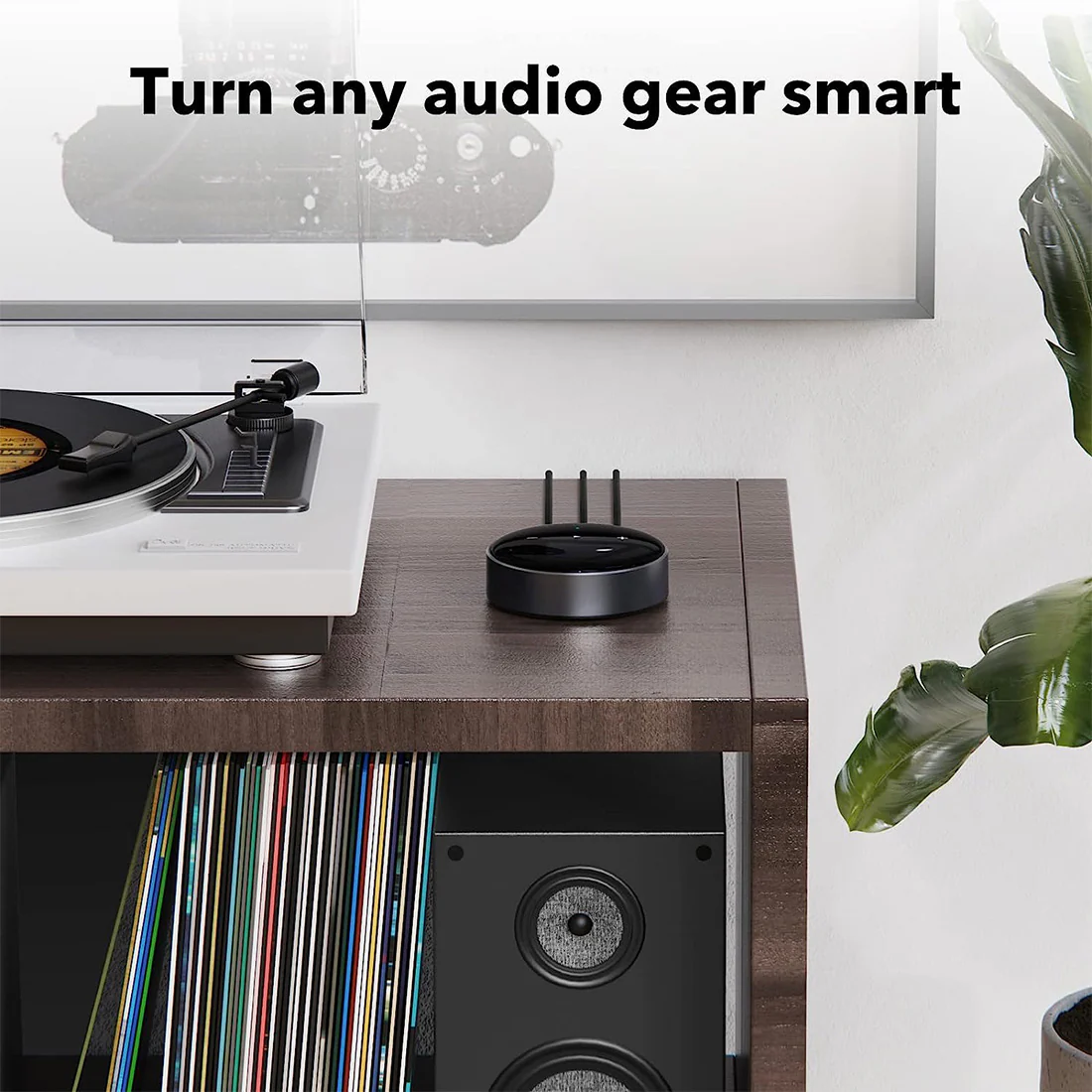 WiiM Mini: Wireless Audio Streamer with Voice Assistant Compatibility - Image 5