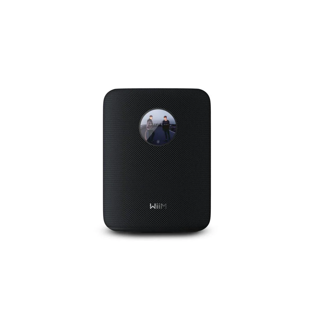 WiiM Sound Hi-Res Smart Speaker - Each - Image 3