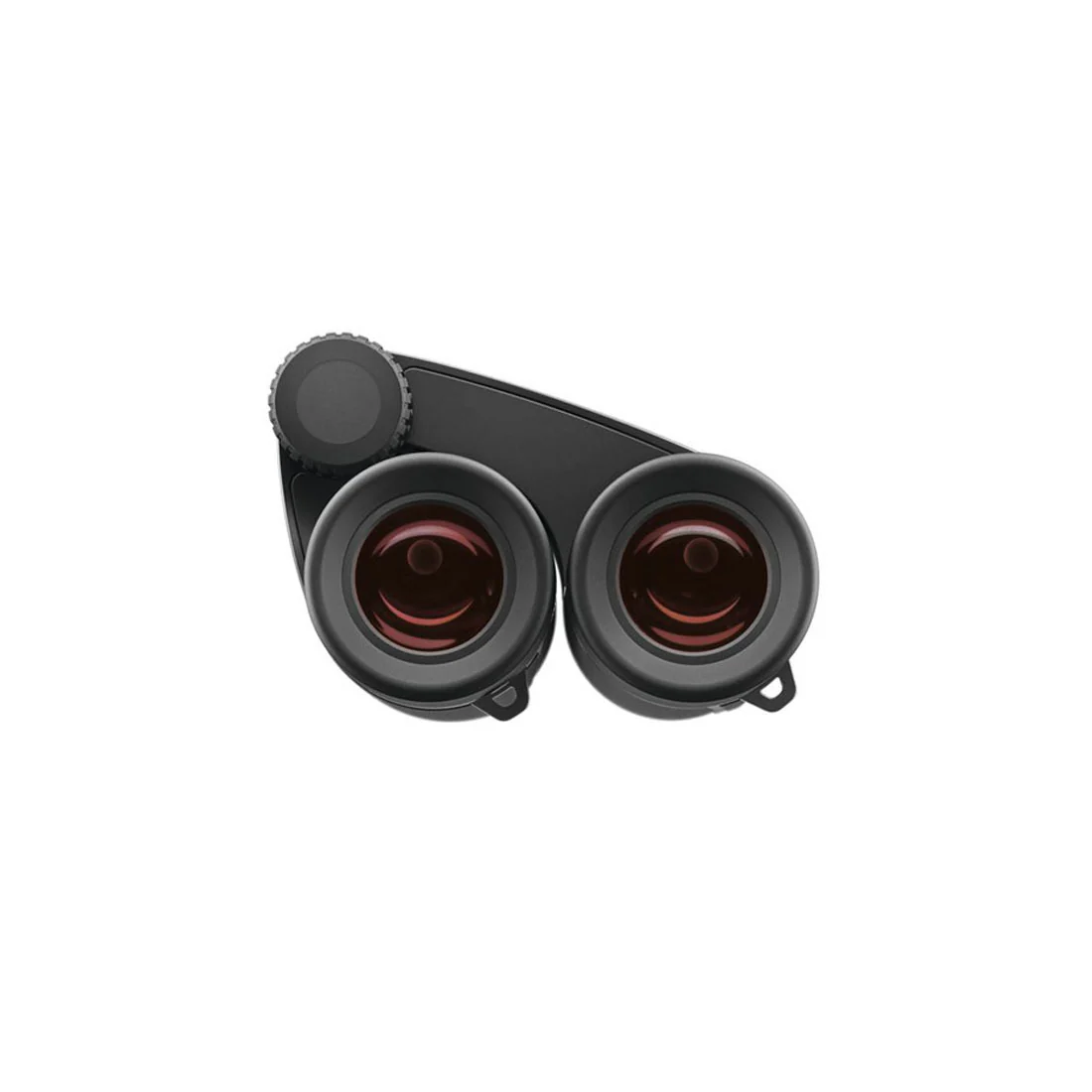 Zeiss 522039 Victory Pocket Binoculars, 10x25 - Image 4